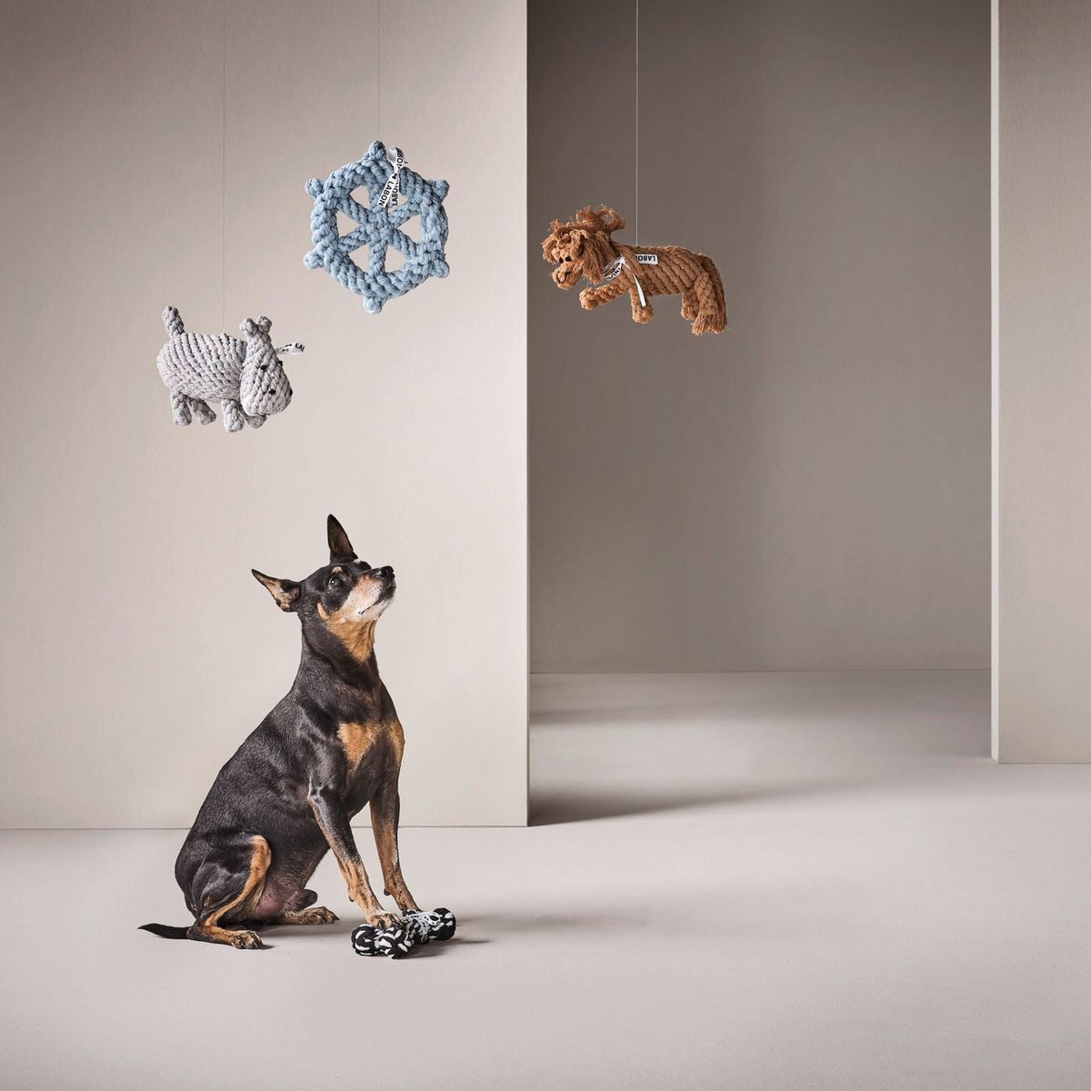 Bestseller - Tiny Paws Boutique