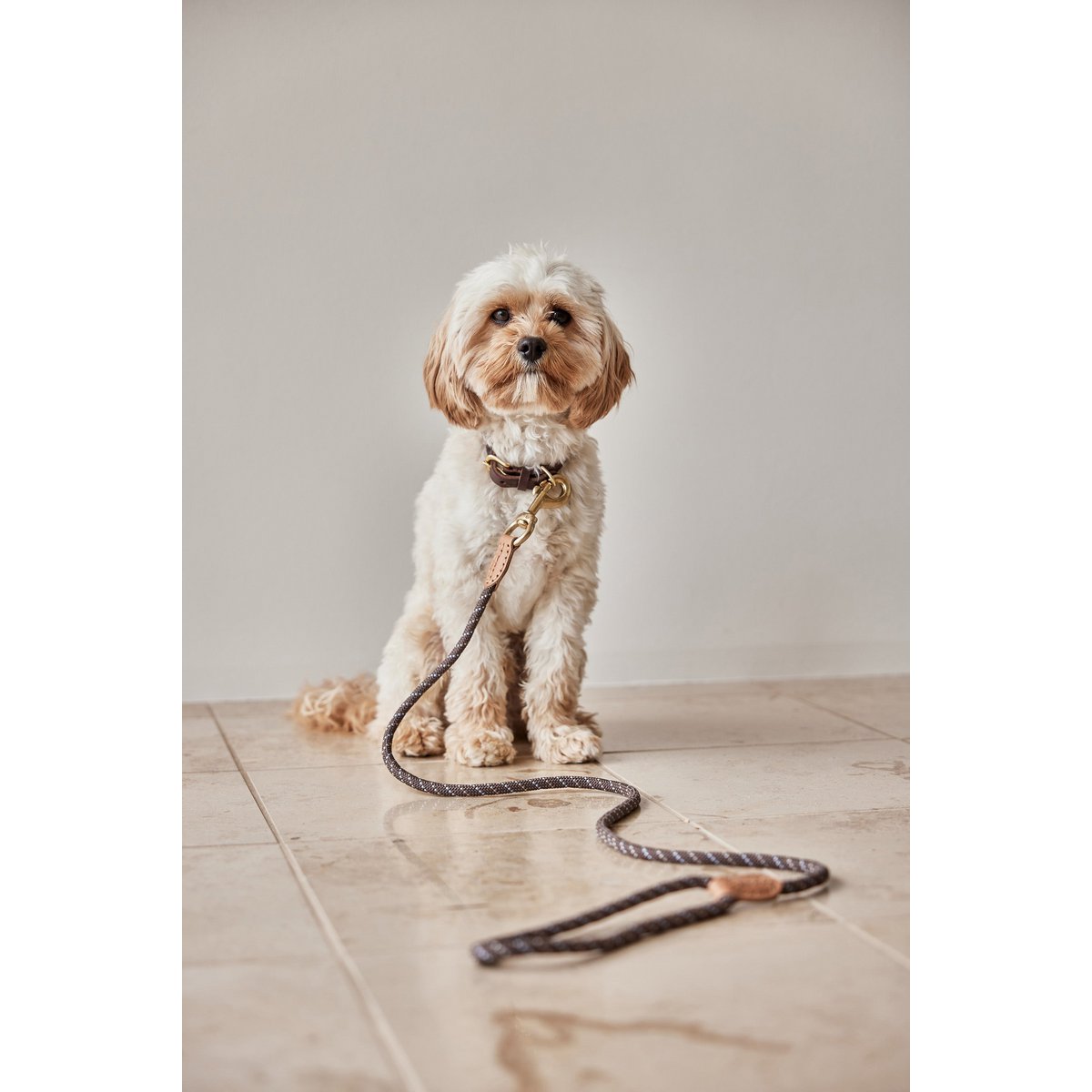 Unterwegs - Tiny Paws Boutique