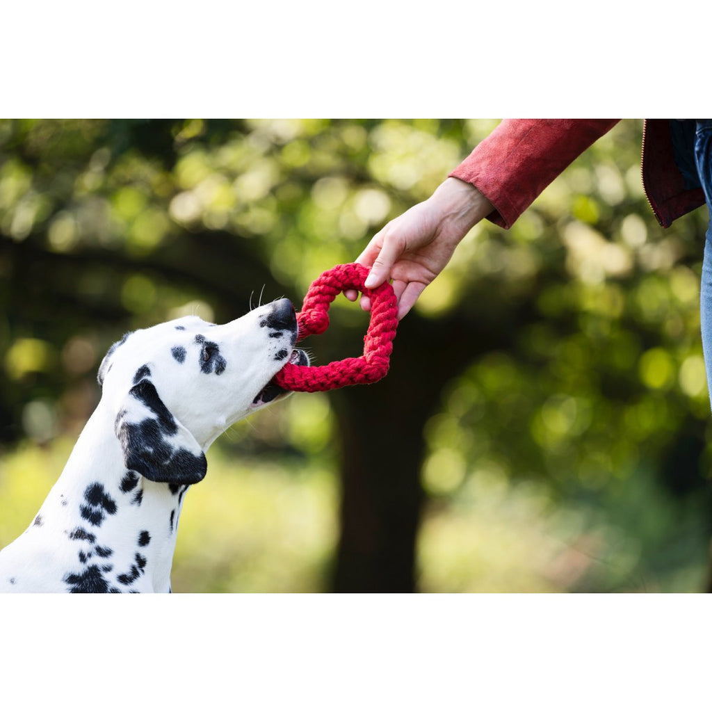 Madame LABONI - Spielzeug-Set für Hunde