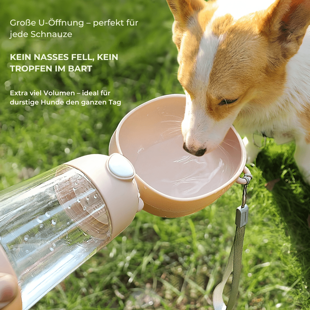 2 - in - 1 Trinkflasche & Futterspender für Hunde - Tiny Paws Boutique