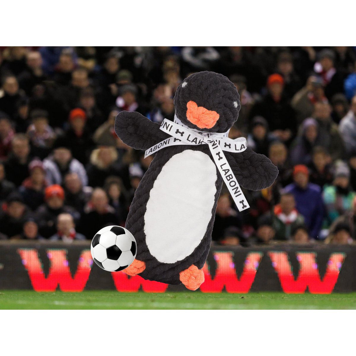 Poldi Pinguin - Kult-Spielzeug für Hunde