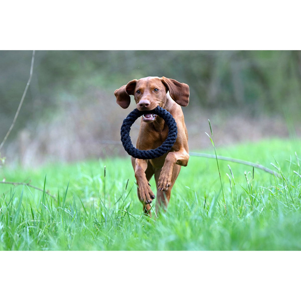 Ringo Ring - Kult-Spielzeug für Hunde