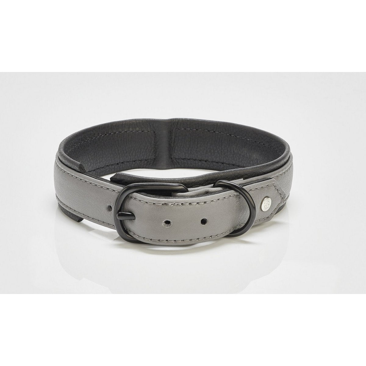 AMICI Anthrazit - Stilvolles Nappa - Halsband für modebewusste Hundefreunde - Tiny Paws Boutique