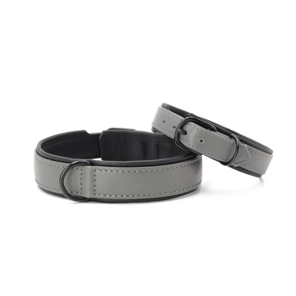 AMICI Anthrazit - Stilvolles Nappa - Halsband für modebewusste Hundefreunde - Tiny Paws Boutique