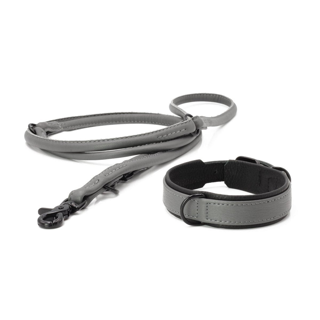 AMICI Anthrazit - Stilvolles Nappa - Halsband für modebewusste Hundefreunde - Tiny Paws Boutique