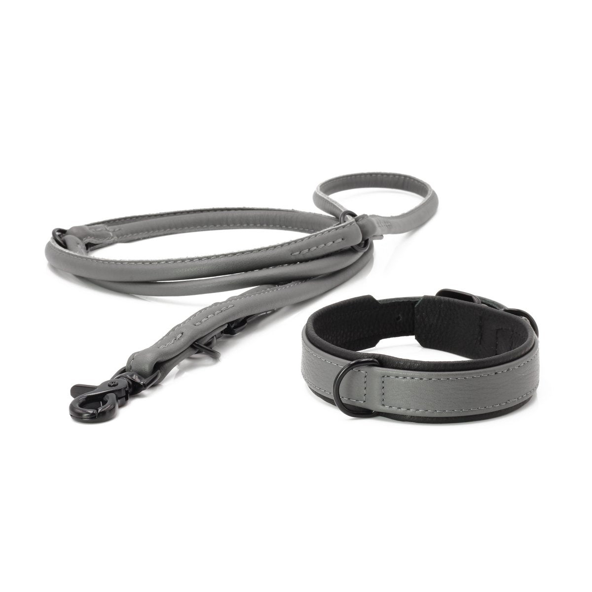 AMICI Anthrazit - Stilvolles Nappa - Halsband für modebewusste Hundefreunde - Tiny Paws Boutique