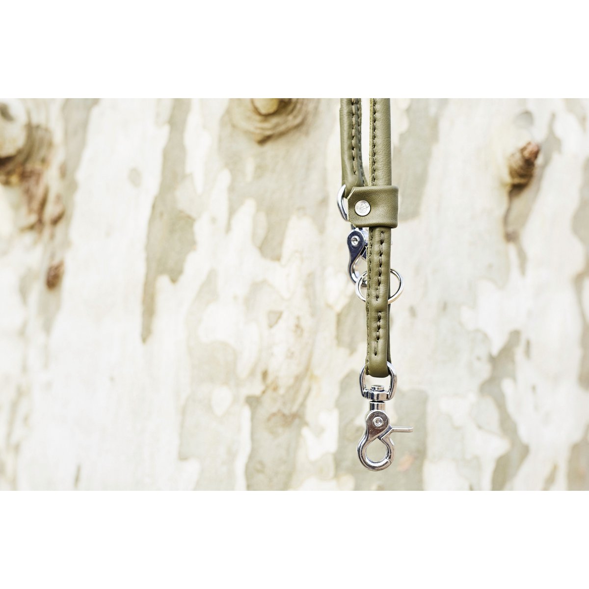 AMICI Dark Green - Elegante Rundleine für modebewusste Hundefreunde - Tiny Paws Boutique
