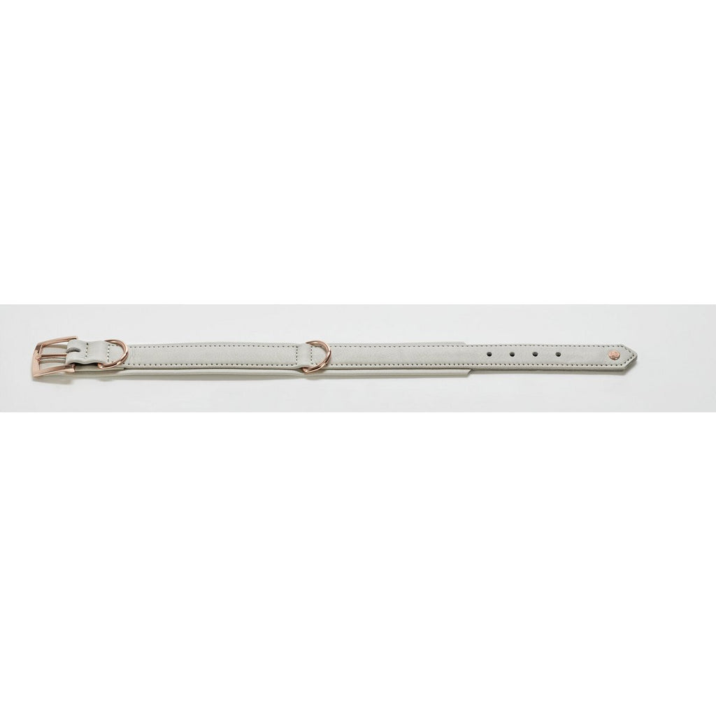 AMICI Dog Collar Light Grey - Tiny Paws Boutique
