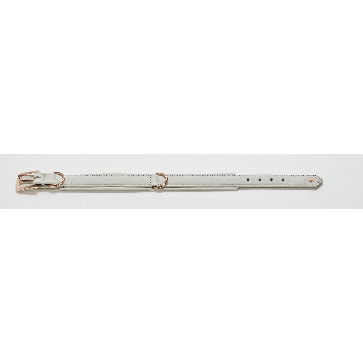 AMICI Dog Collar Light Grey - Tiny Paws Boutique