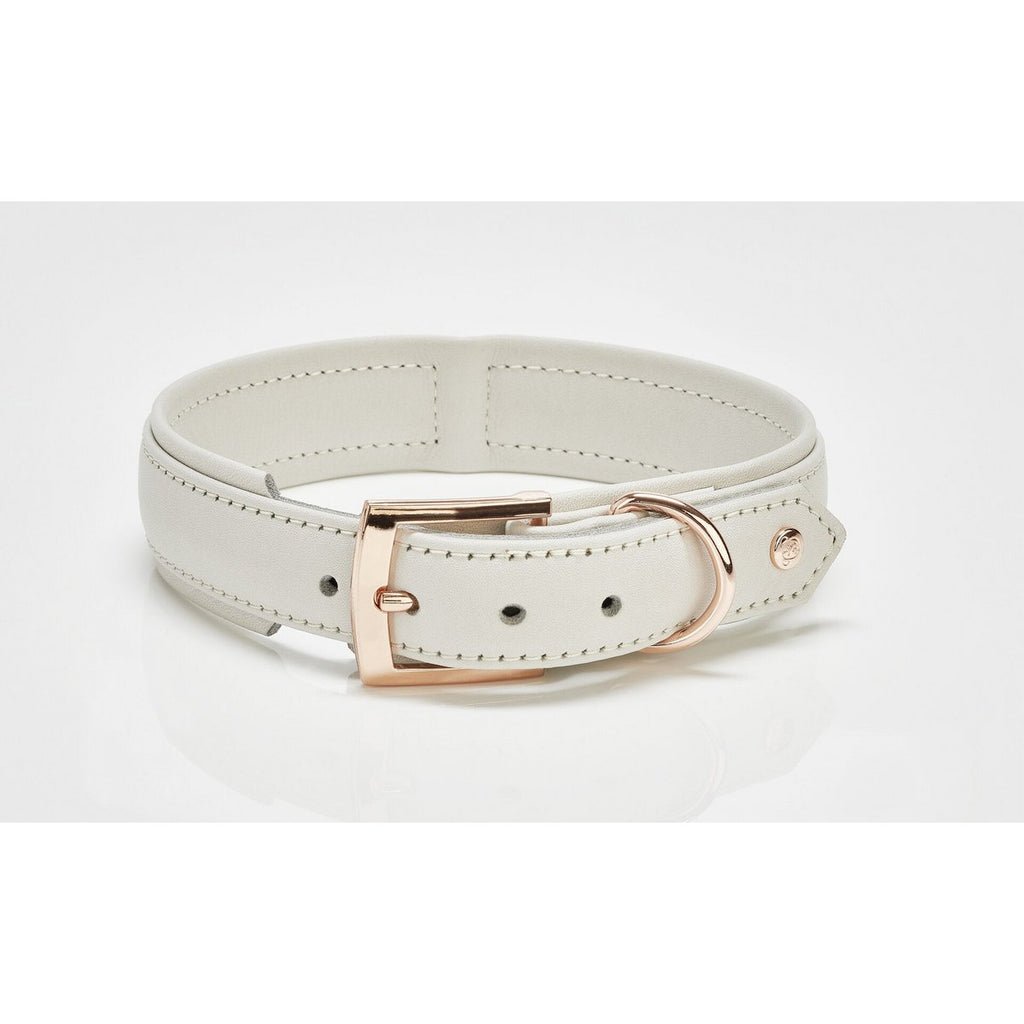 AMICI Dog Collar Light Grey - Tiny Paws Boutique