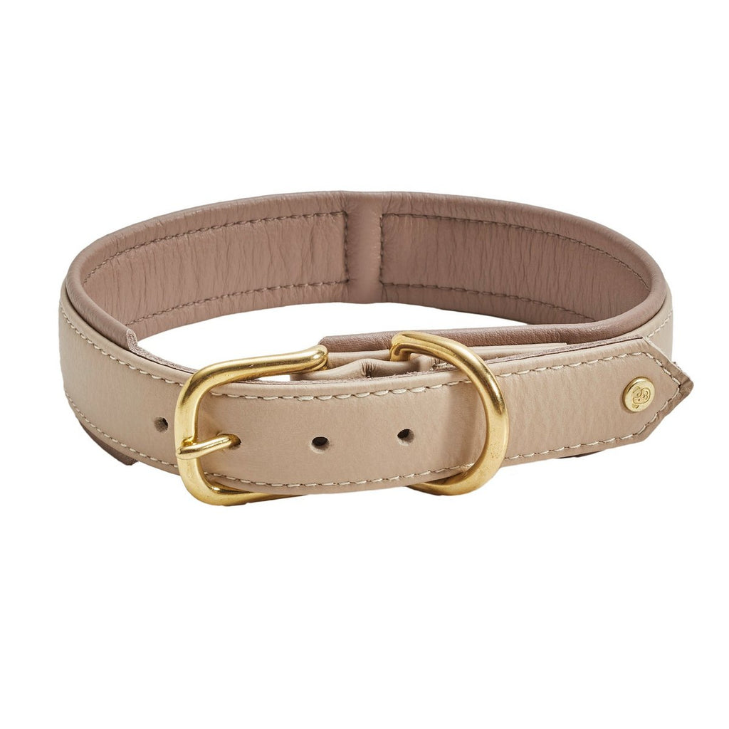 AMICI IVORY - Stilvolles Nappa - Halsband für modebewusste Hundefreunde - Tiny Paws Boutique