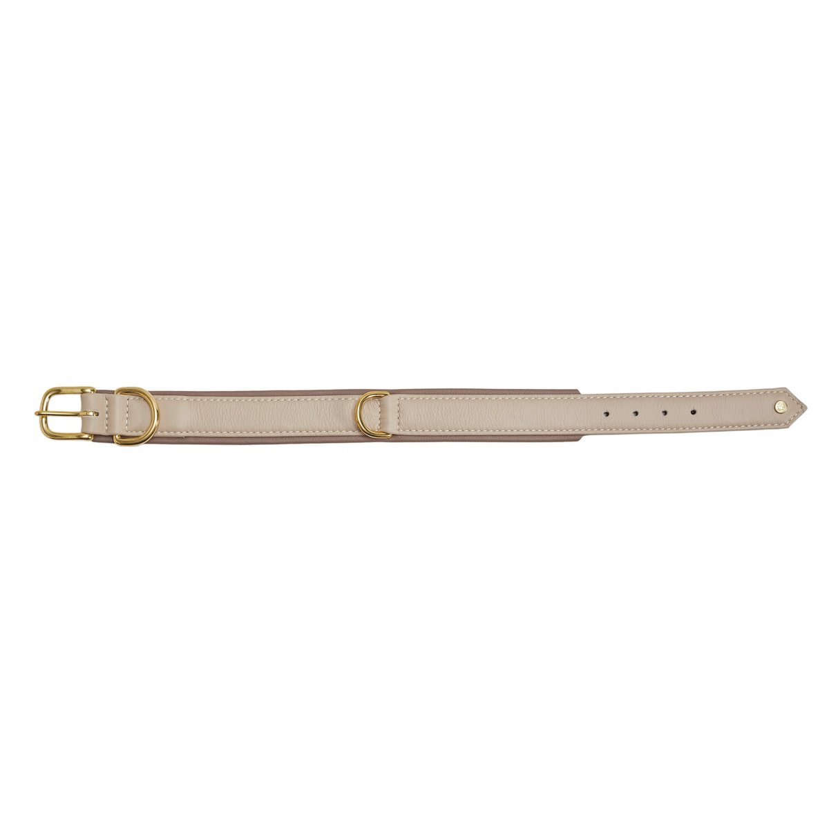 AMICI IVORY - Stilvolles Nappa - Halsband für modebewusste Hundefreunde - Tiny Paws Boutique
