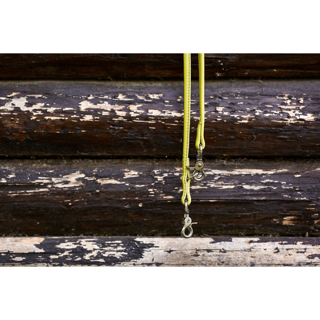AMICI Lemon - Elegante Rundleine für modebewusste Hundefreunde - Tiny Paws Boutique