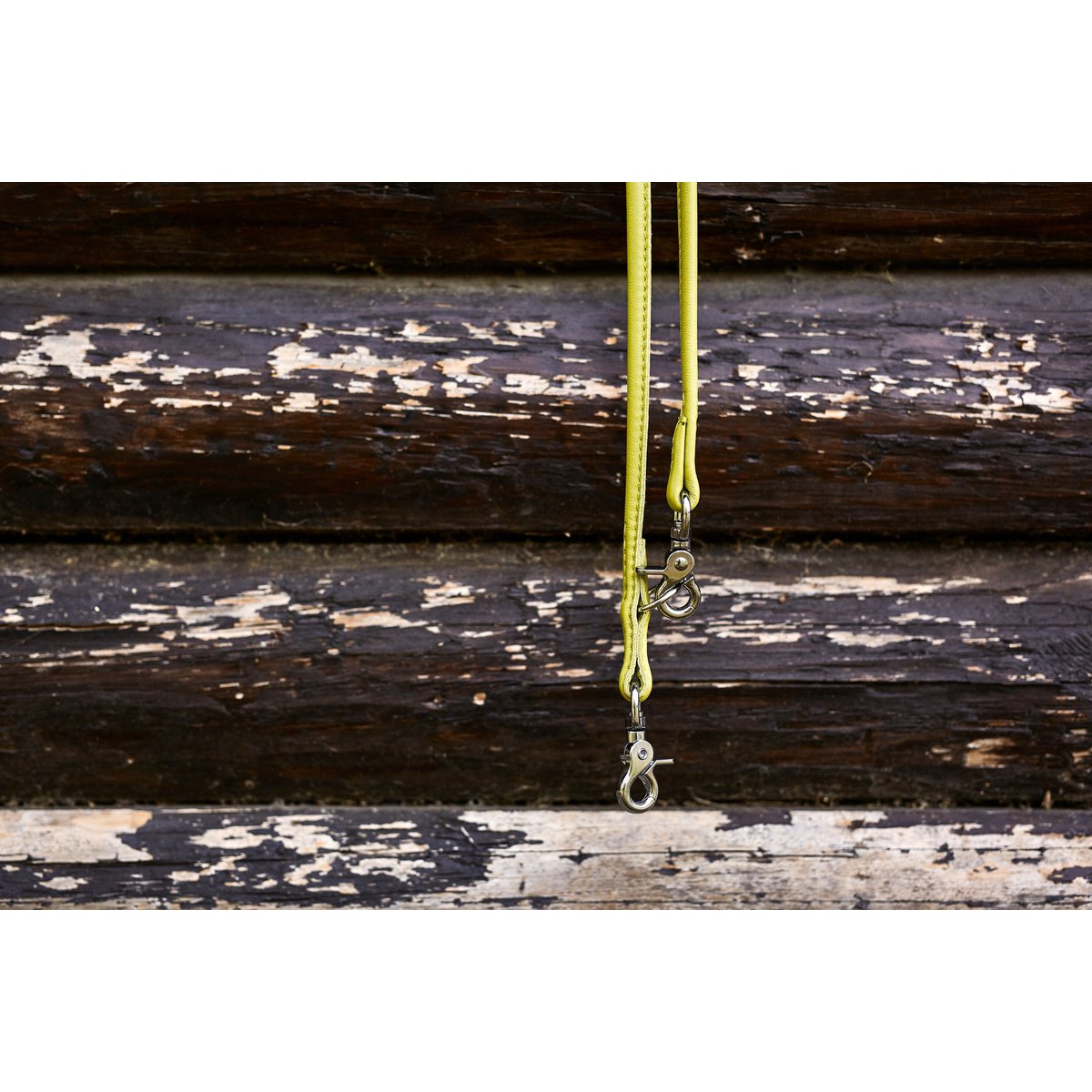 AMICI Lemon - Elegante Rundleine für modebewusste Hundefreunde - Tiny Paws Boutique
