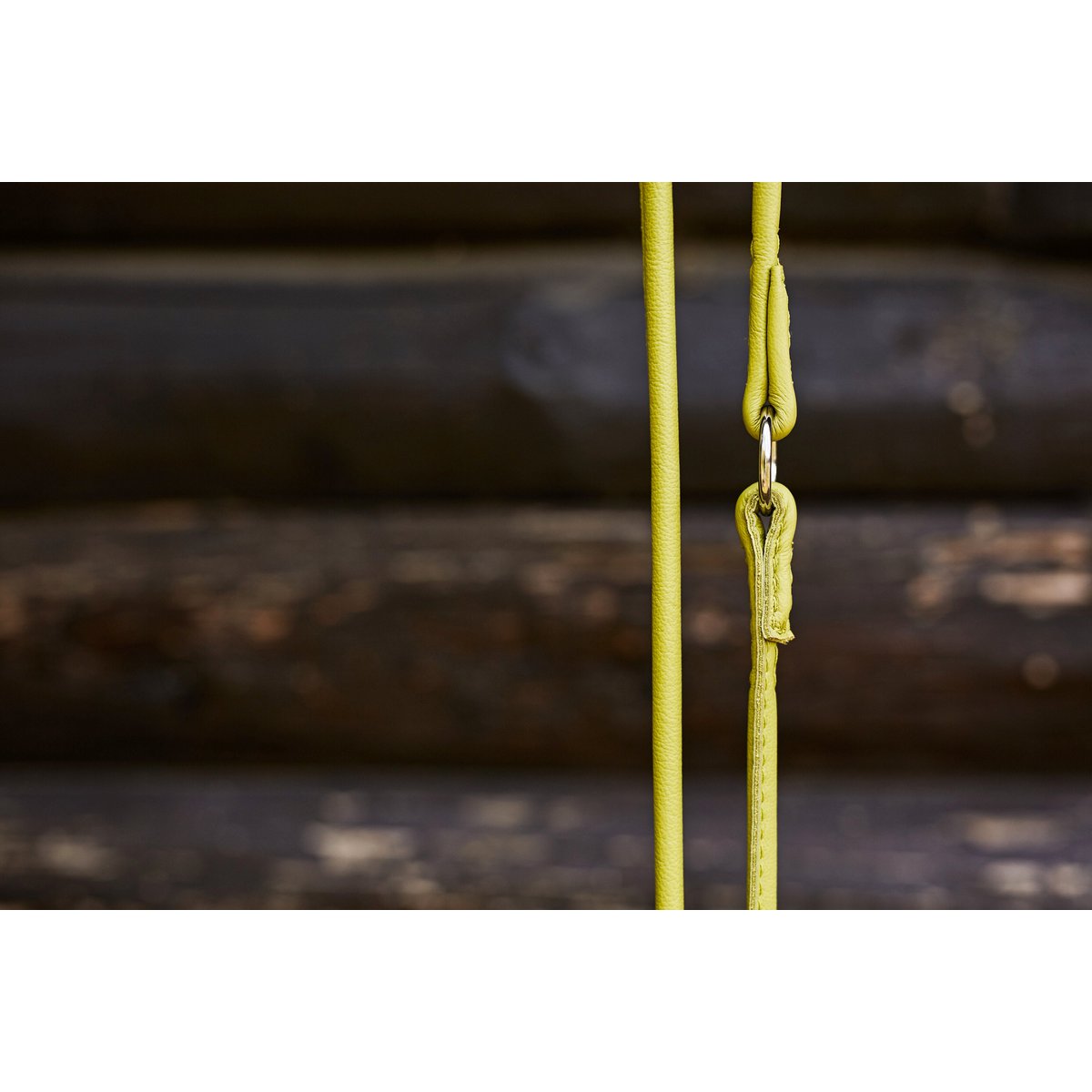 AMICI Lemon - Elegante Rundleine für modebewusste Hundefreunde - Tiny Paws Boutique