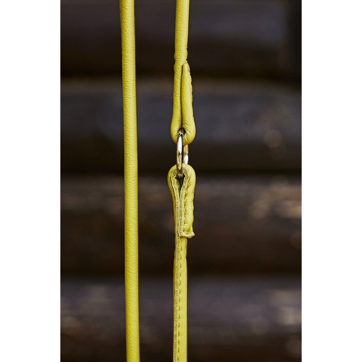 AMICI Lemon - Elegante Rundleine für modebewusste Hundefreunde - Tiny Paws Boutique