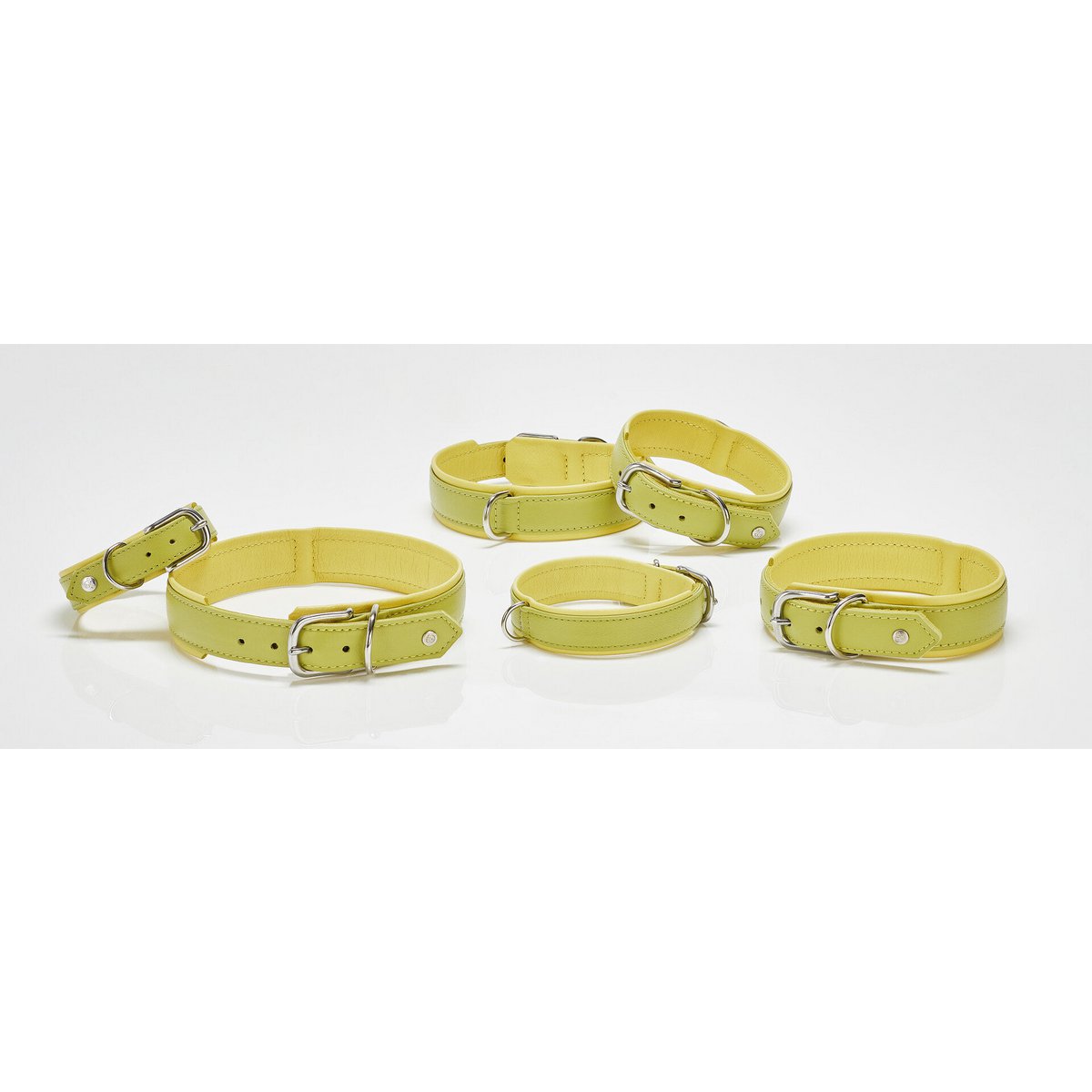 AMICI Lemon - Stilvolles Nappa - Halsband für modebewusste Hundefreunde - Tiny Paws Boutique