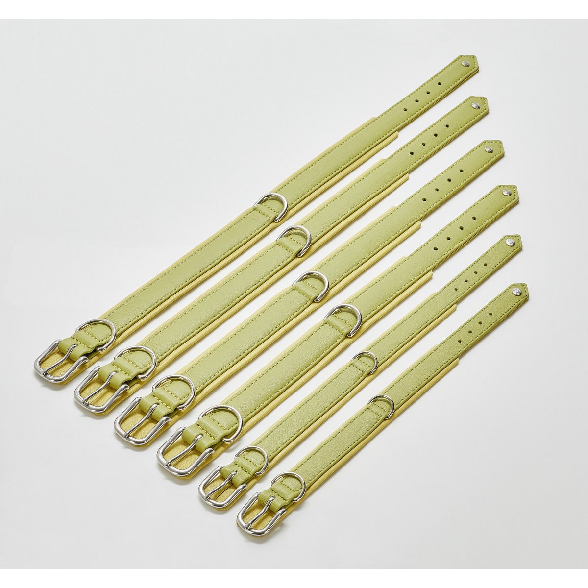 AMICI Lemon - Stilvolles Nappa - Halsband für modebewusste Hundefreunde - Tiny Paws Boutique