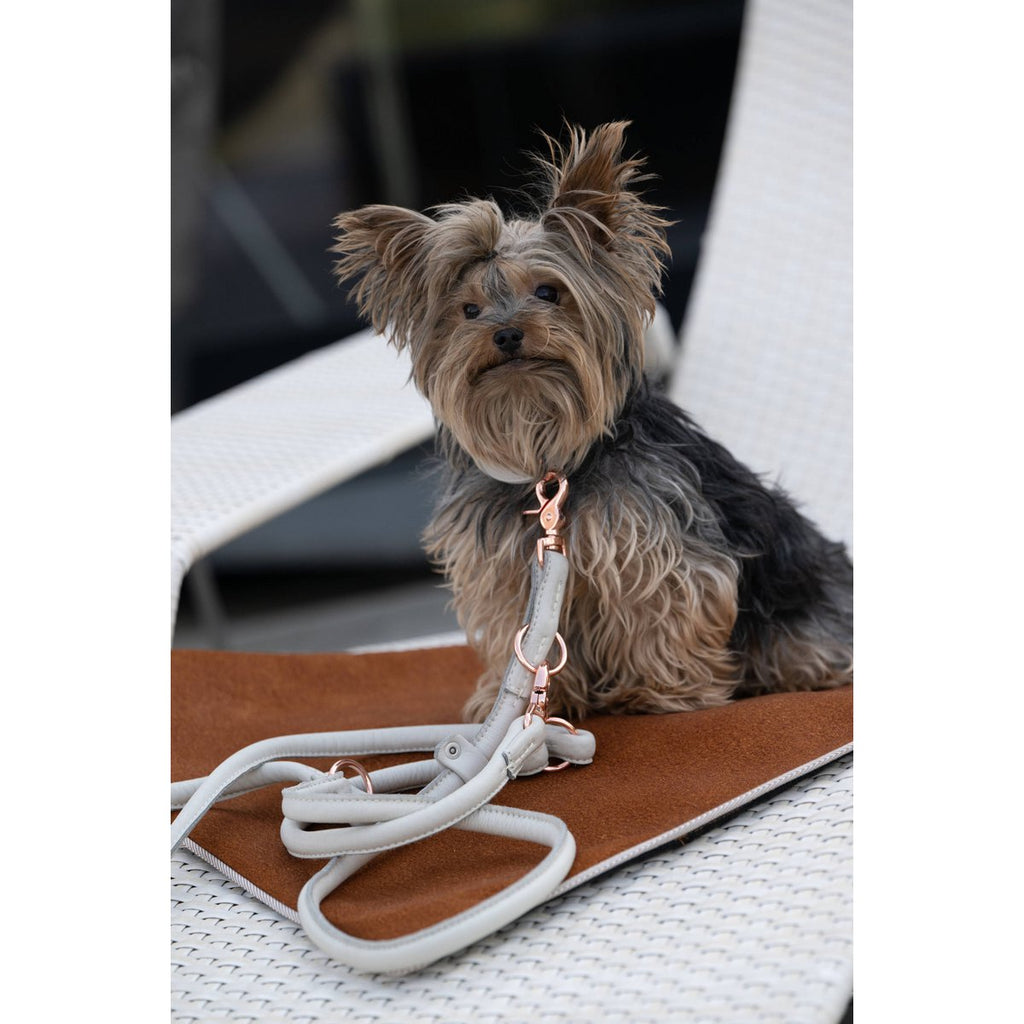 AMICI Light Grey - Elegante Rundleine für modebewusste Hundefreunde - Tiny Paws Boutique