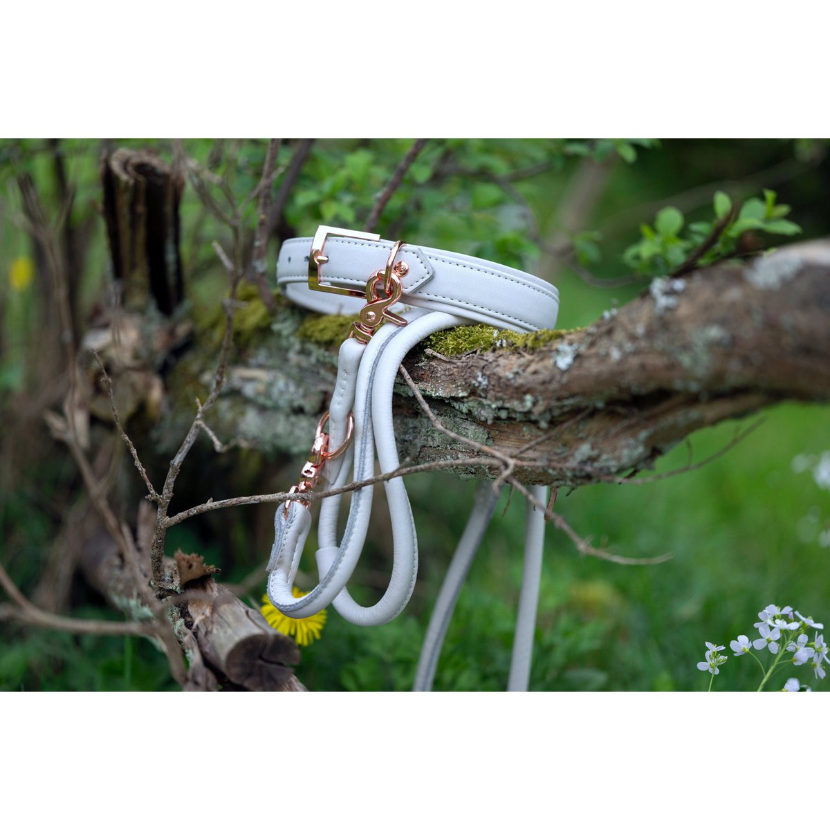 AMICI Light Grey - Elegante Rundleine für modebewusste Hundefreunde - Tiny Paws Boutique