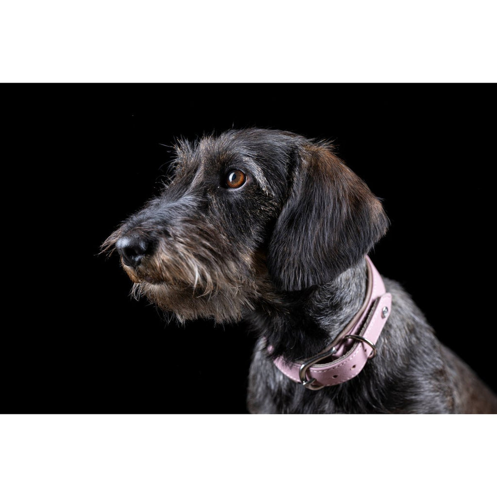 AMICI ROSE - Stilvolles Nappa - Halsband für modebewusste Hundefreunde - Tiny Paws Boutique