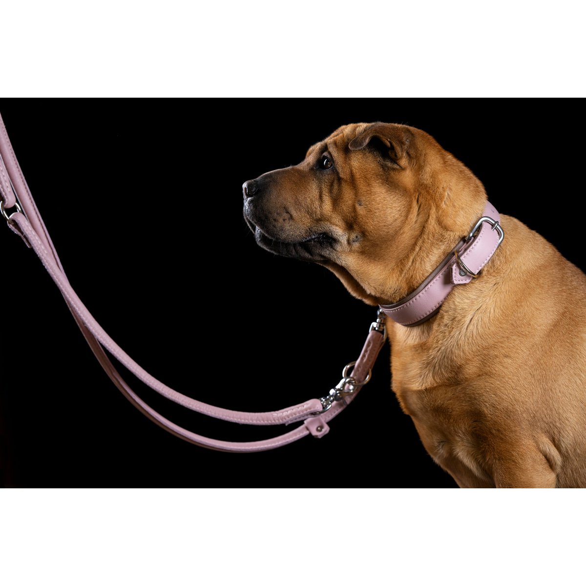 AMICI ROSE - Stilvolles Nappa - Halsband für modebewusste Hundefreunde - Tiny Paws Boutique