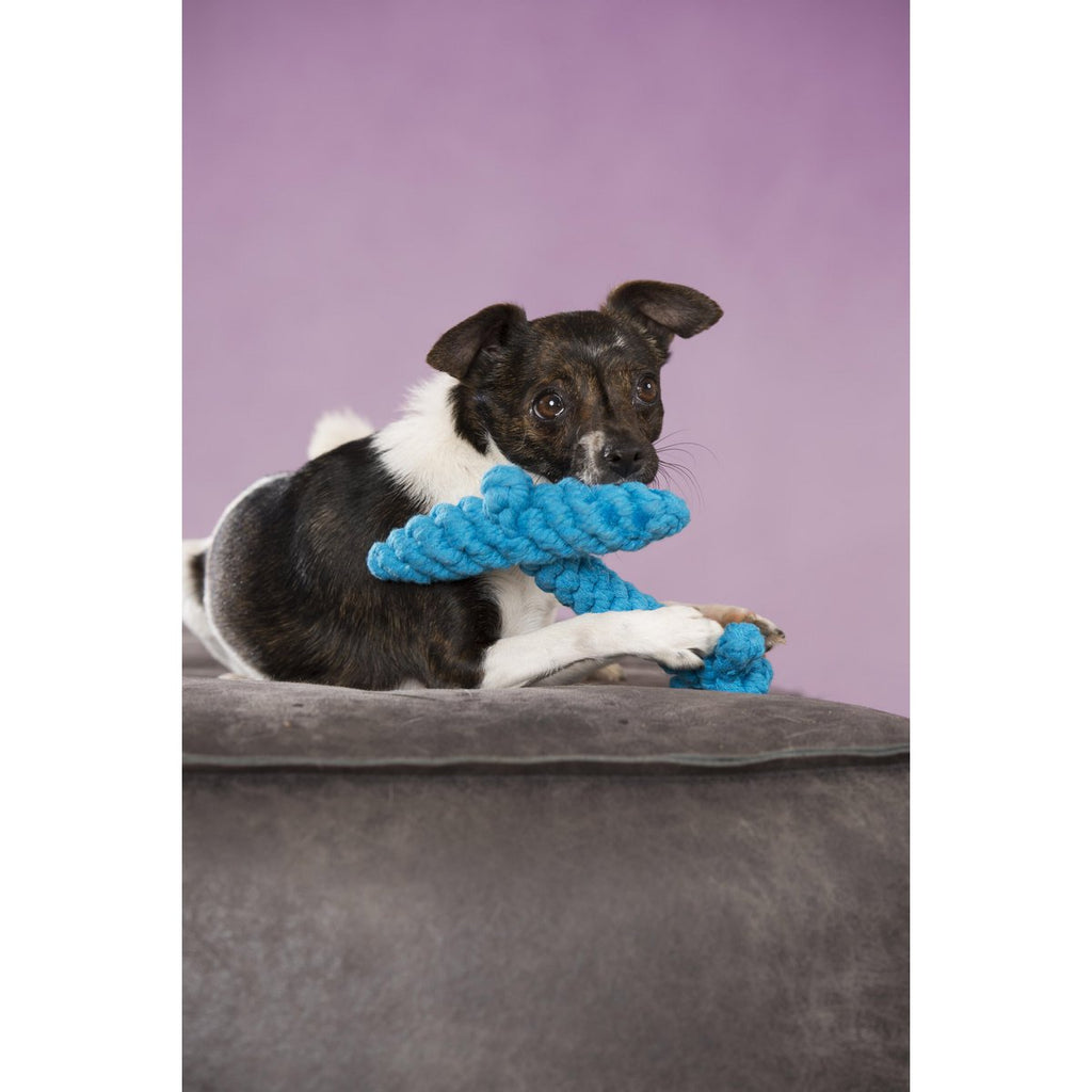 Angela Anker - Kult - Spielzeug für Hunde - Tiny Paws Boutique