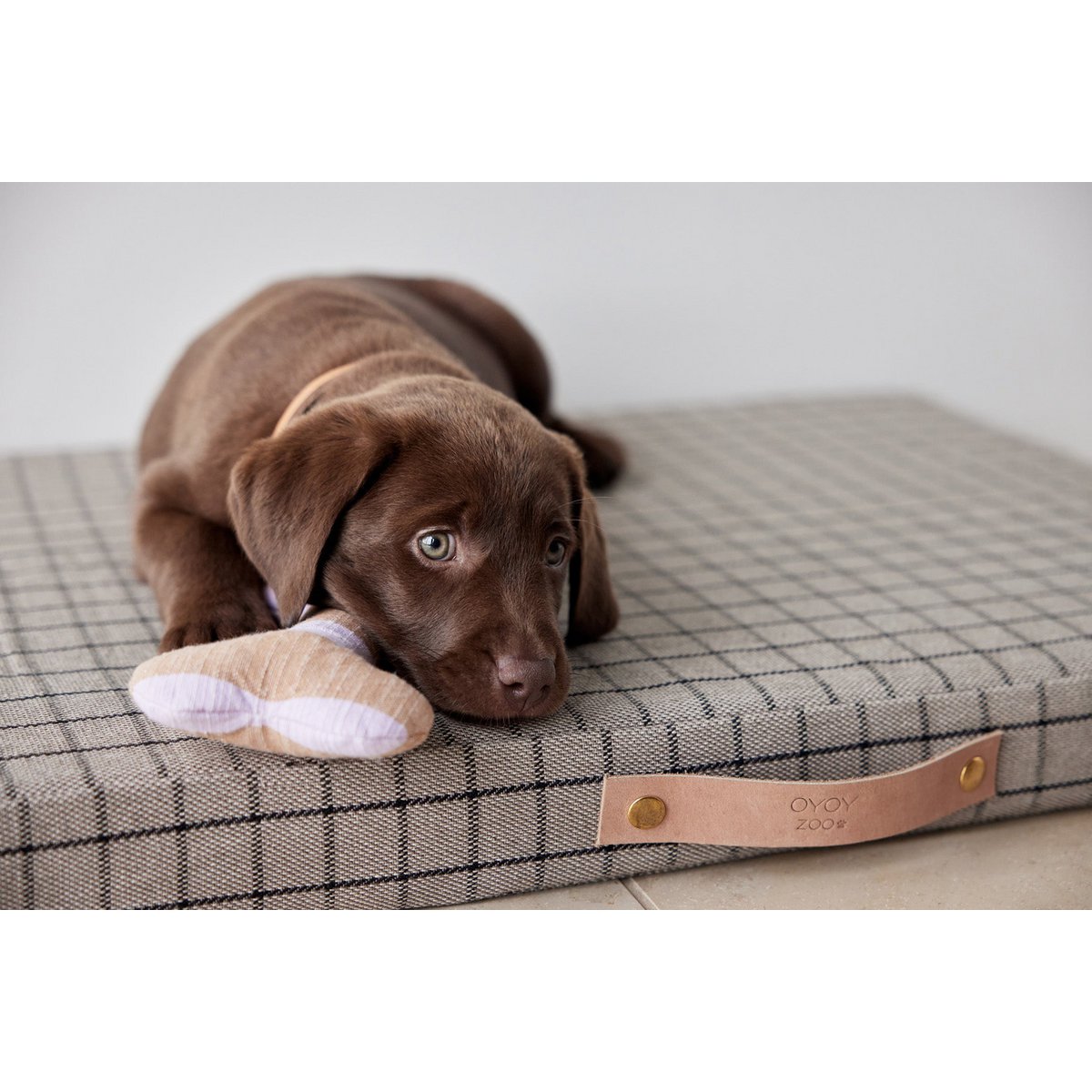 Ashi Hundespielzeug – groß - Tiny Paws Boutique