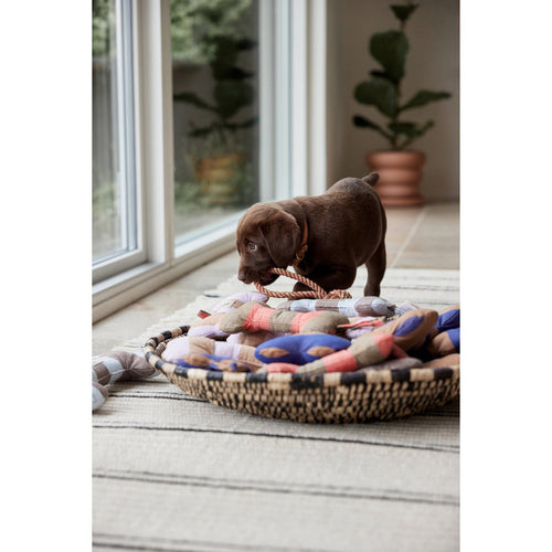 Ashi Hundespielzeug – groß - Tiny Paws Boutique