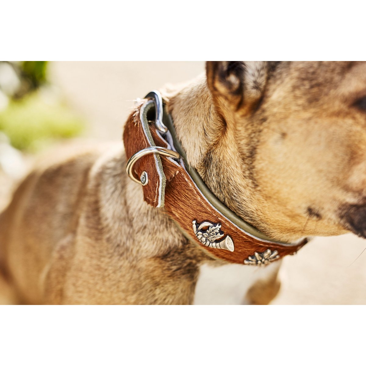 BAVARIA - Exklusives Hundehalsband im aufregenden Material - Mix - Tiny Paws Boutique