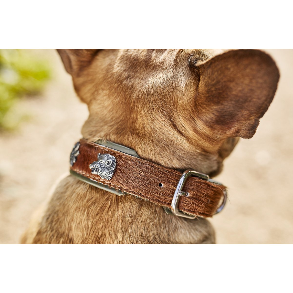 BAVARIA - Exklusives Hundehalsband im aufregenden Material - Mix - Tiny Paws Boutique