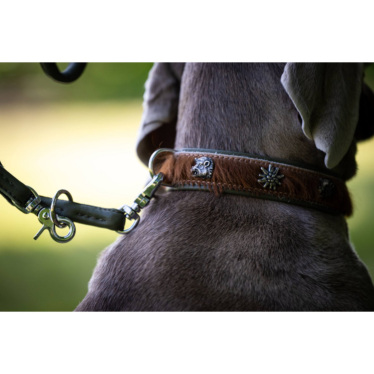 BAVARIA - Exklusives Hundehalsband im aufregenden Material - Mix - Tiny Paws Boutique