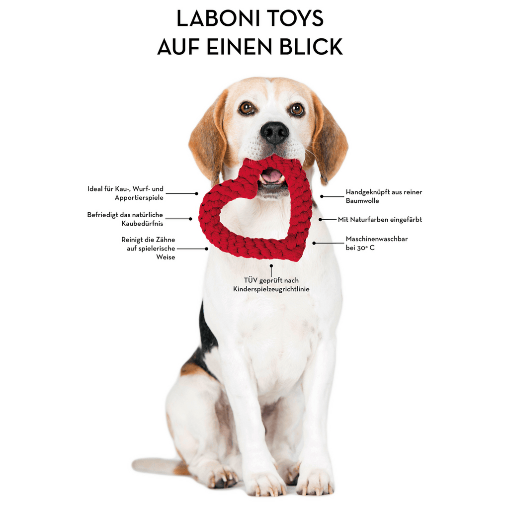Big Ocean - Spielzeug - Set für Hunde - Tiny Paws Boutique