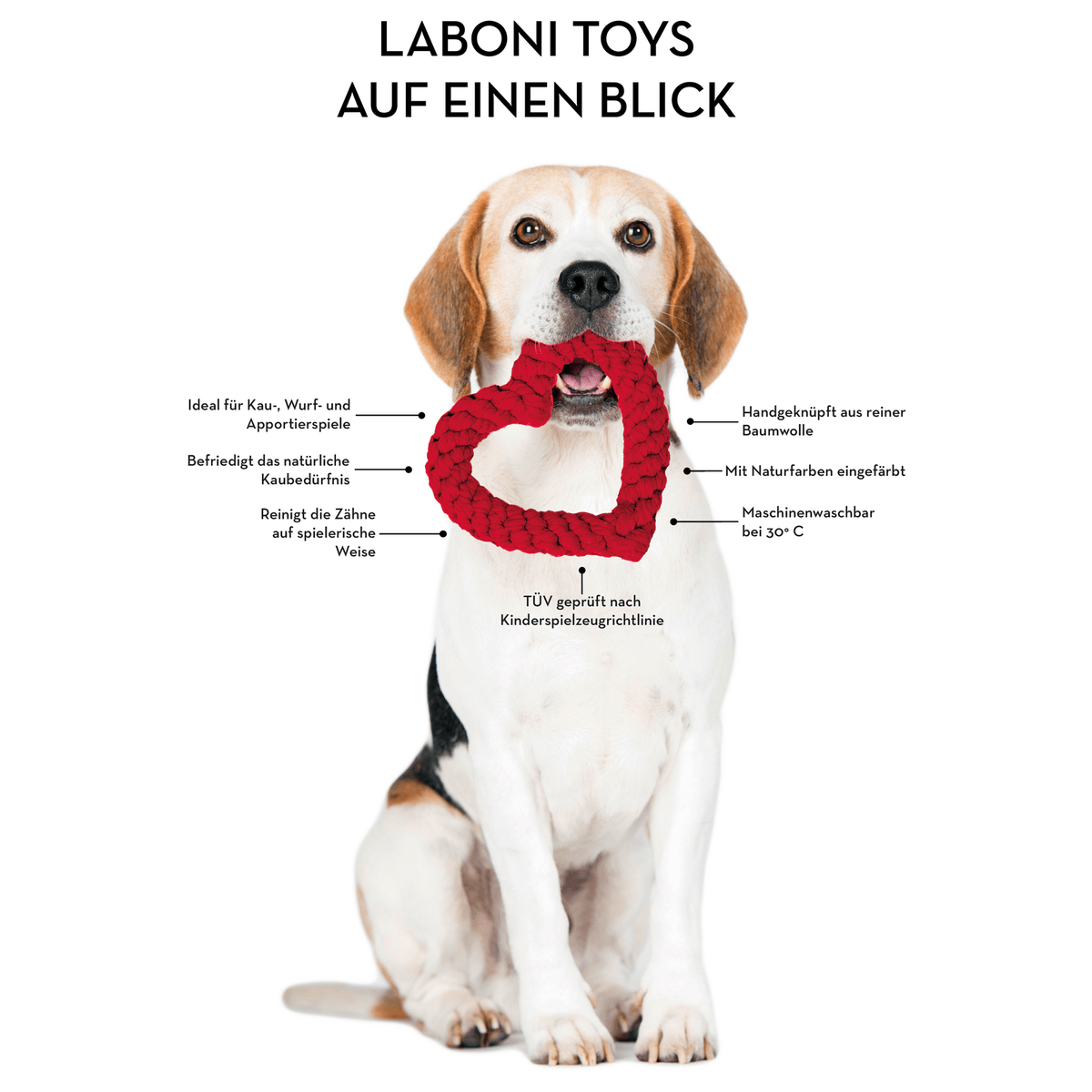 Big Ocean - Spielzeug - Set für Hunde - Tiny Paws Boutique