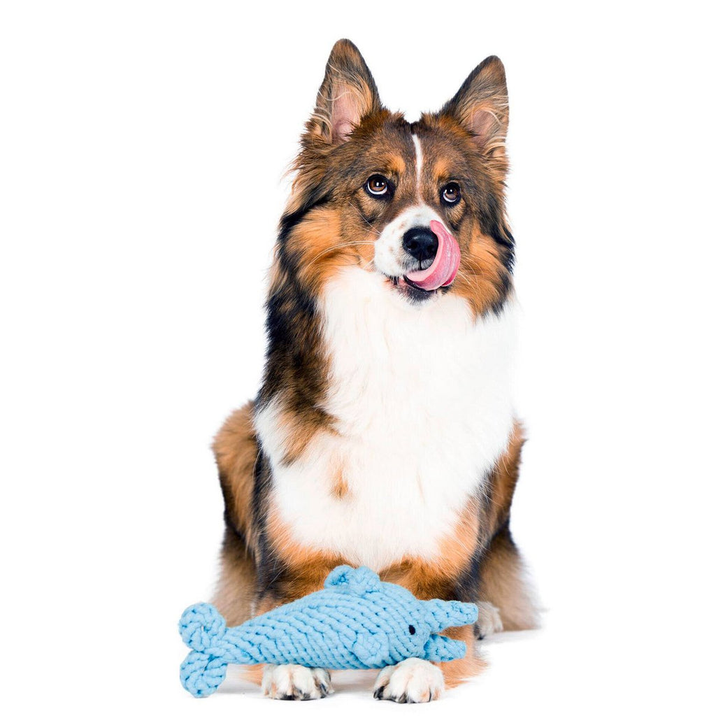 Big Ocean - Spielzeug - Set für Hunde - Tiny Paws Boutique