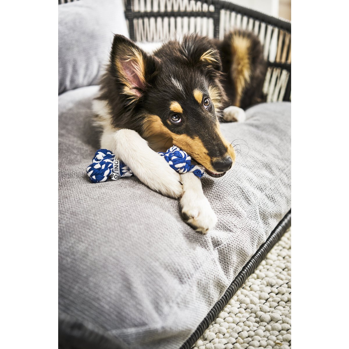 Bonnie Bone - Kult - Spielzeug für Hunde - Tiny Paws Boutique