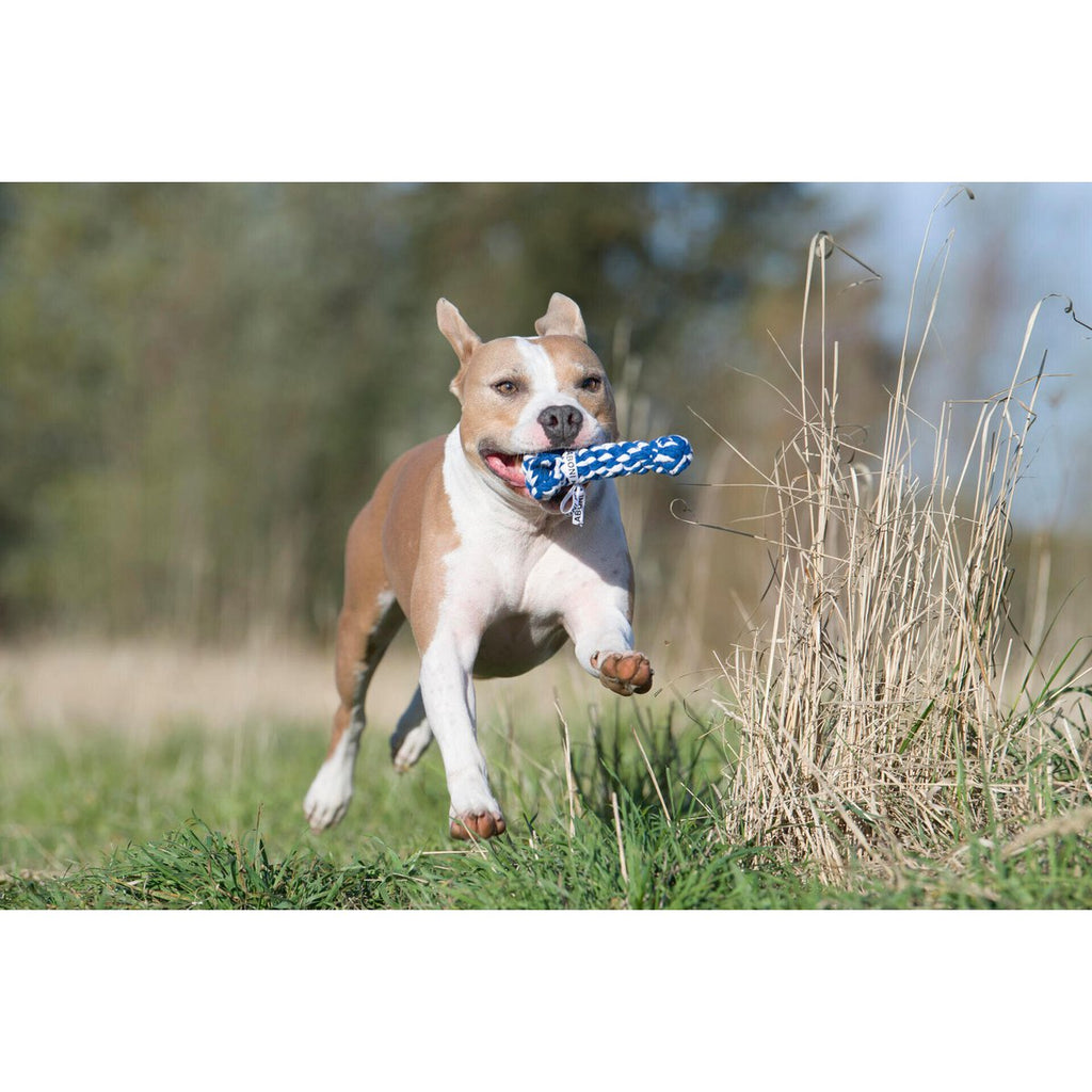 Bonnie Bone - Kult - Spielzeug für Hunde - Tiny Paws Boutique
