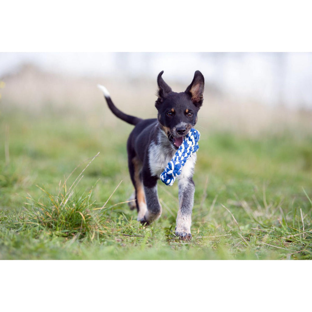 Bonnie Bone - Kult - Spielzeug für Hunde - Tiny Paws Boutique