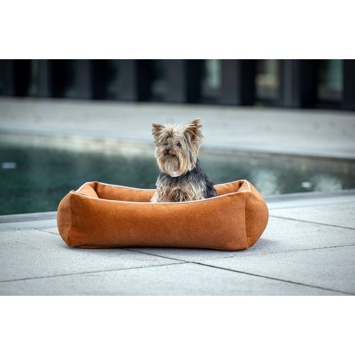 CLASSIC Hundebett - BUFFALO CAMEL - Tiny Paws Boutique