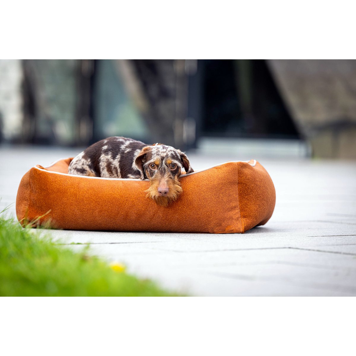 CLASSIC Hundebett - BUFFALO CAMEL - Tiny Paws Boutique