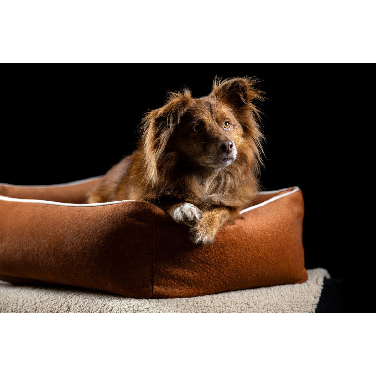CLASSIC Hundebett - BUFFALO CAMEL - Tiny Paws Boutique