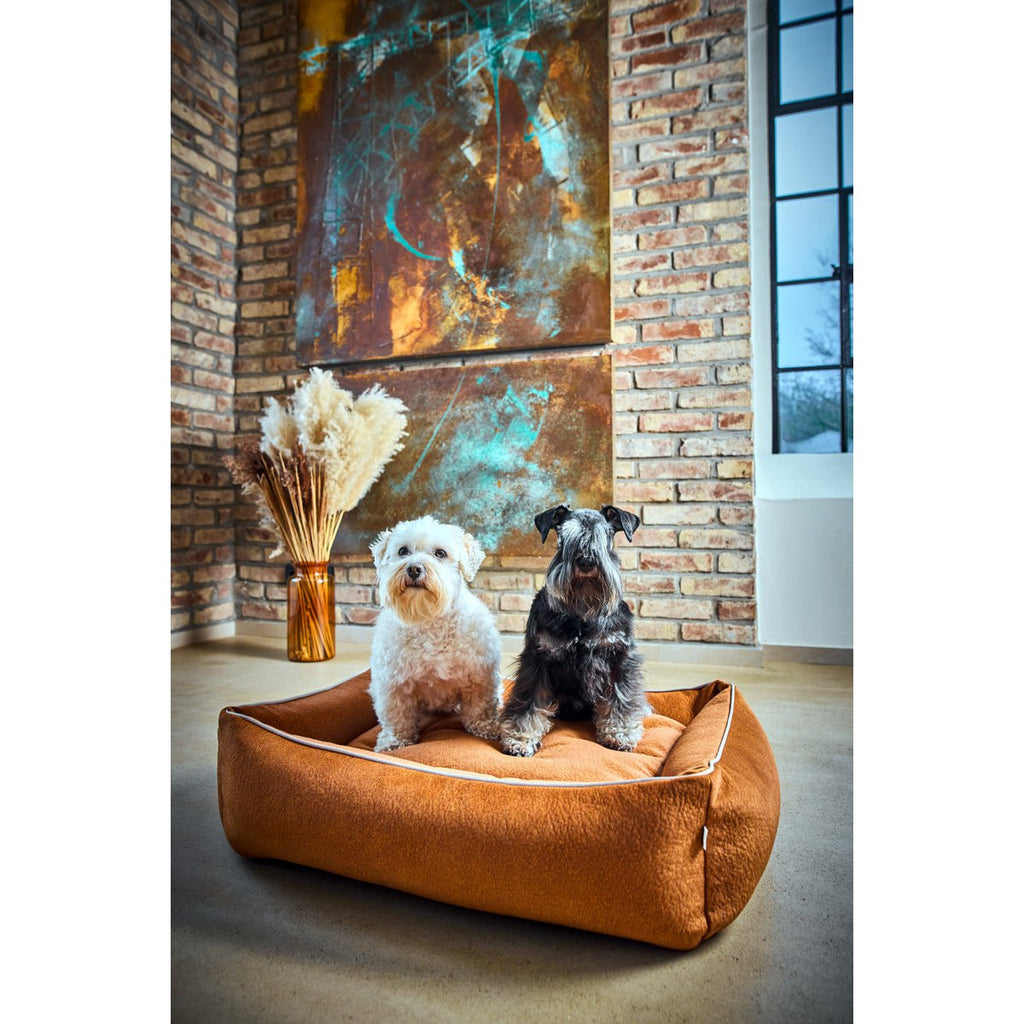 CLASSIC Hundebett - BUFFALO CAMEL - Tiny Paws Boutique