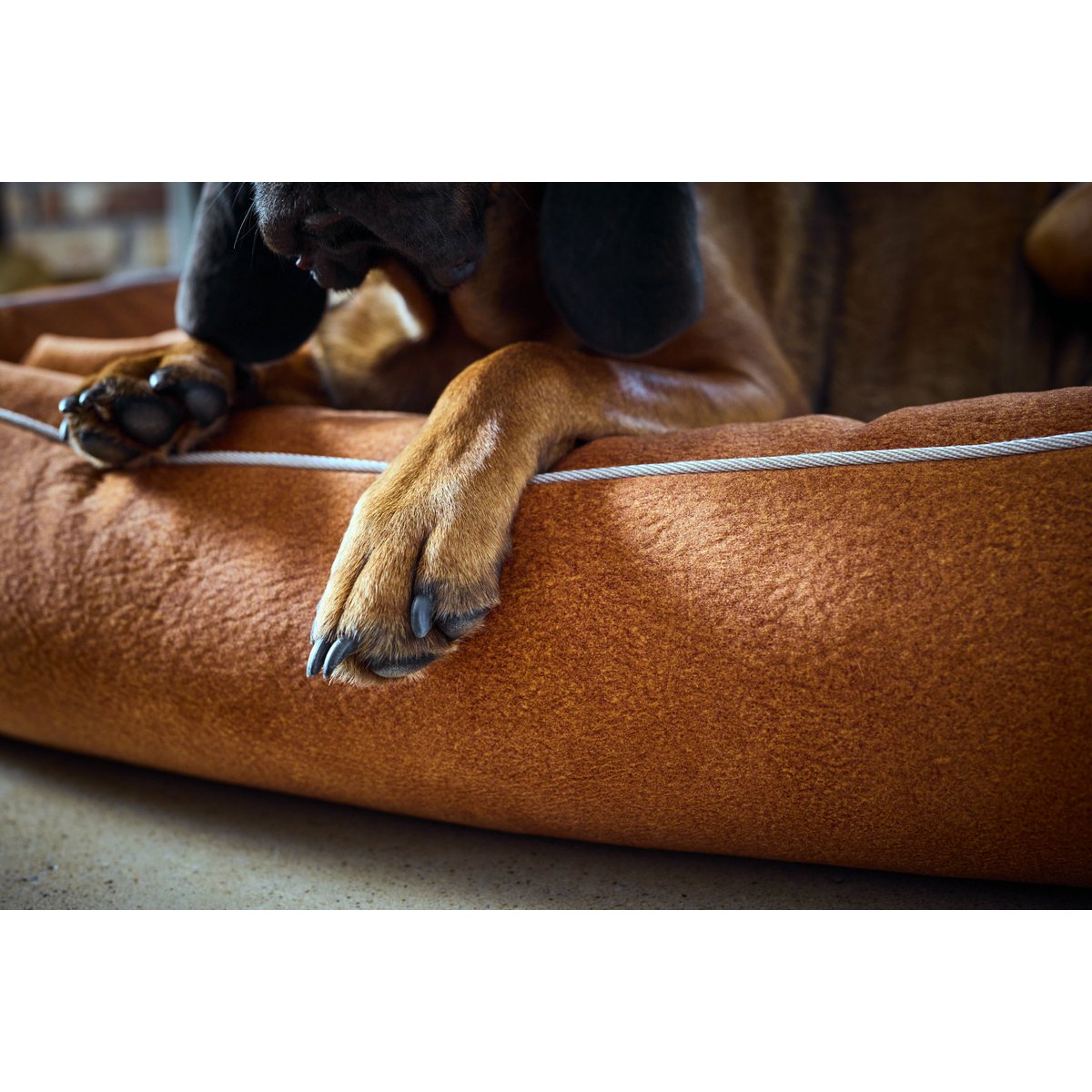 CLASSIC Hundebett - BUFFALO CAMEL - Tiny Paws Boutique