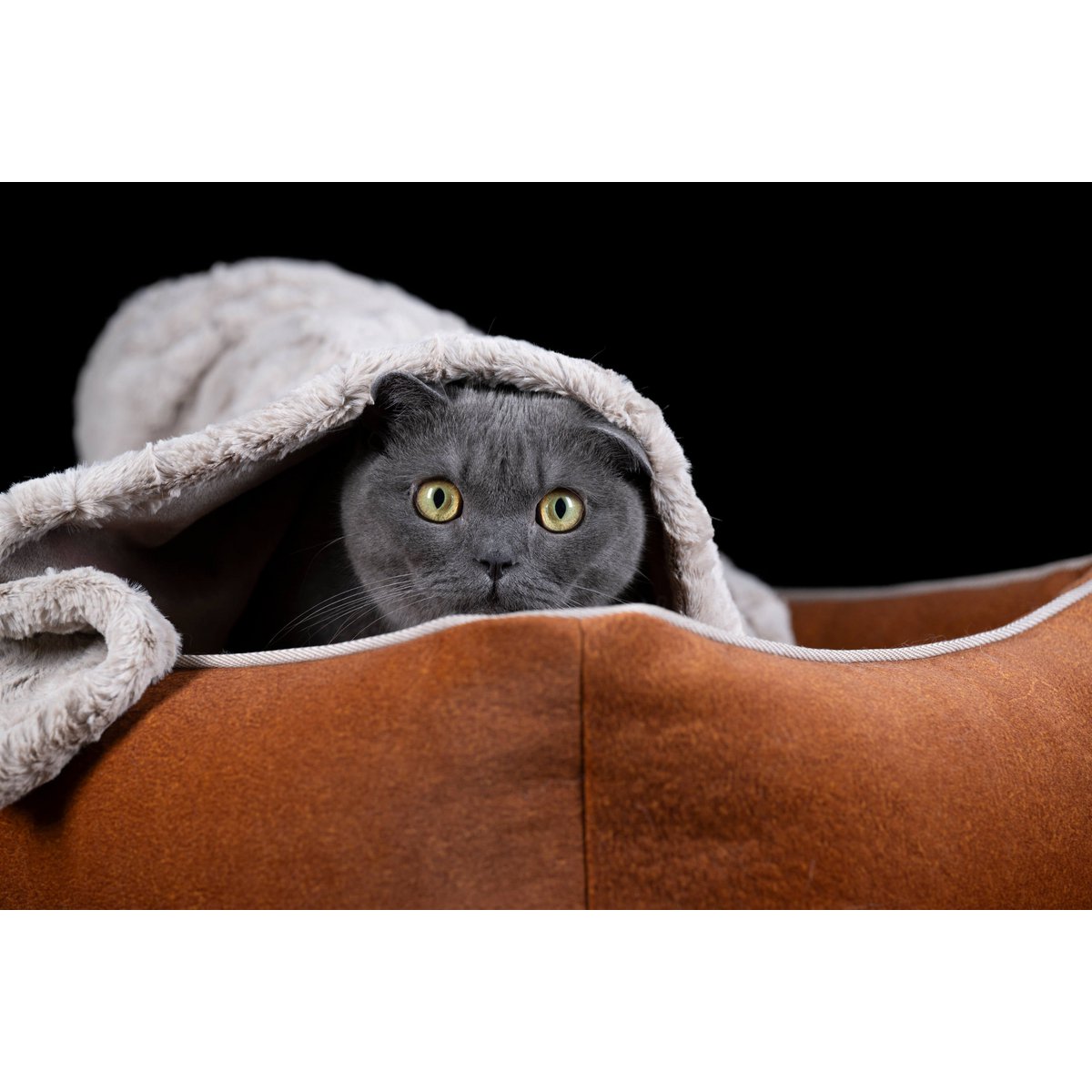 CLASSIC Hundebett - BUFFALO CAMEL - Tiny Paws Boutique