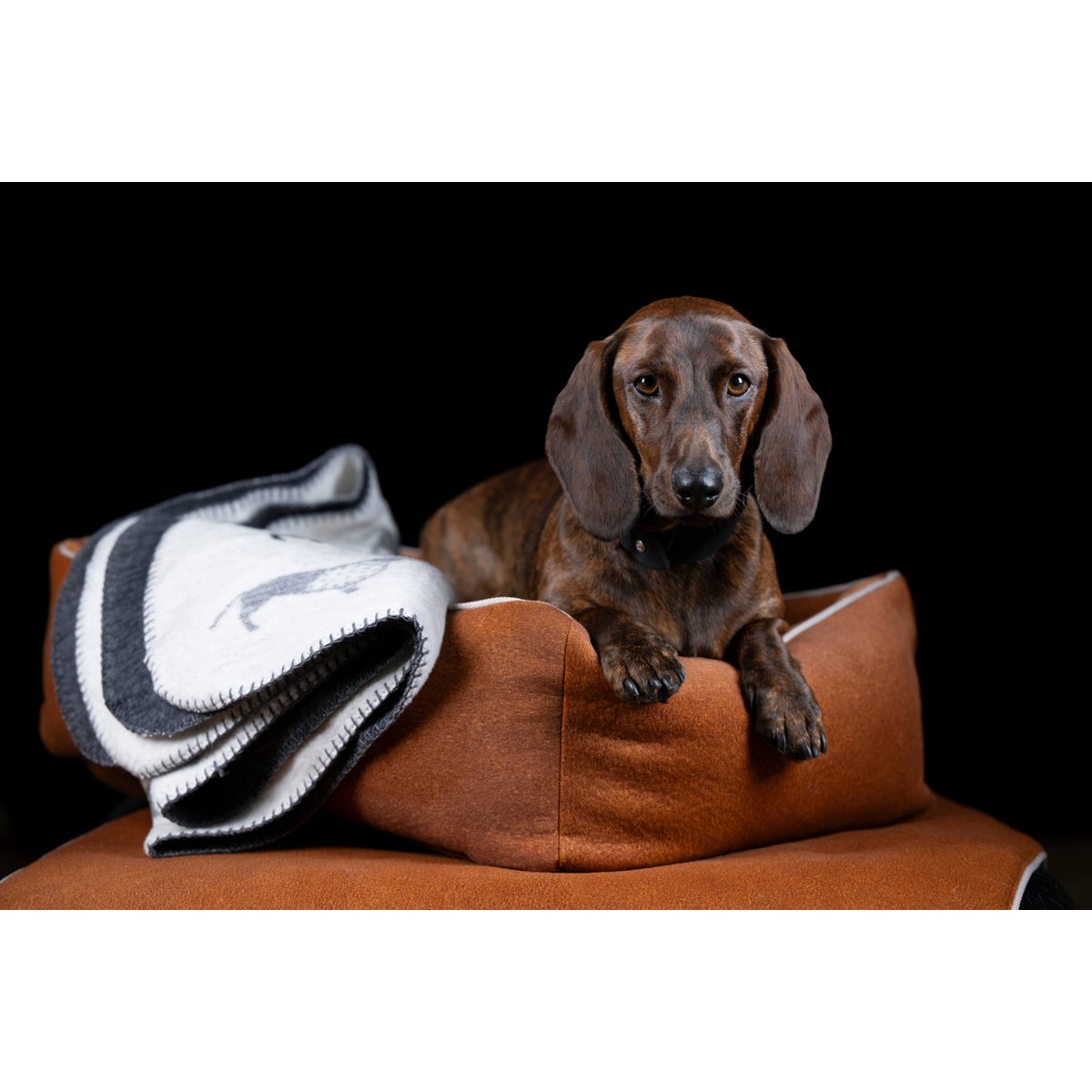 CLASSIC Hundebett - BUFFALO CAMEL - Tiny Paws Boutique