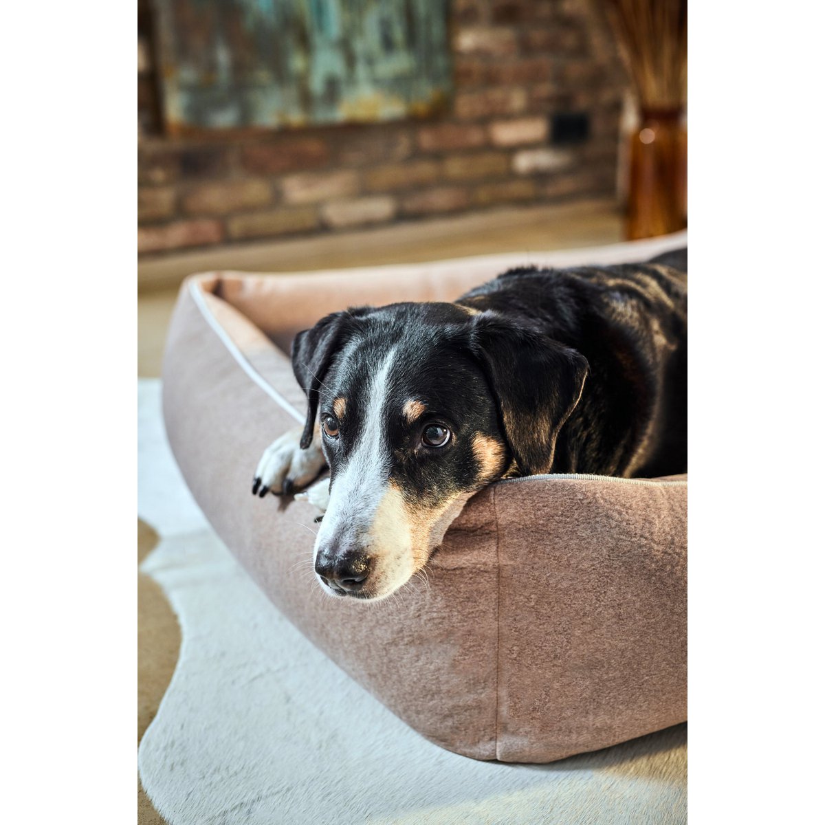 CLASSIC Hundebett - BUFFALO CREME - Tiny Paws Boutique