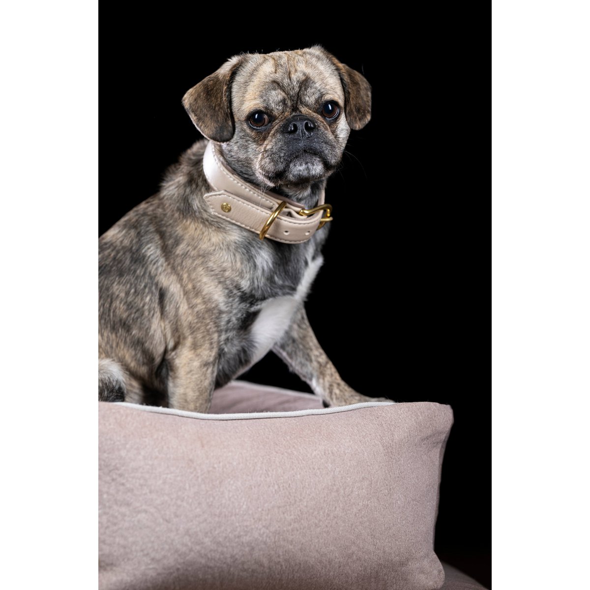 CLASSIC Hundebett - BUFFALO CREME - Tiny Paws Boutique