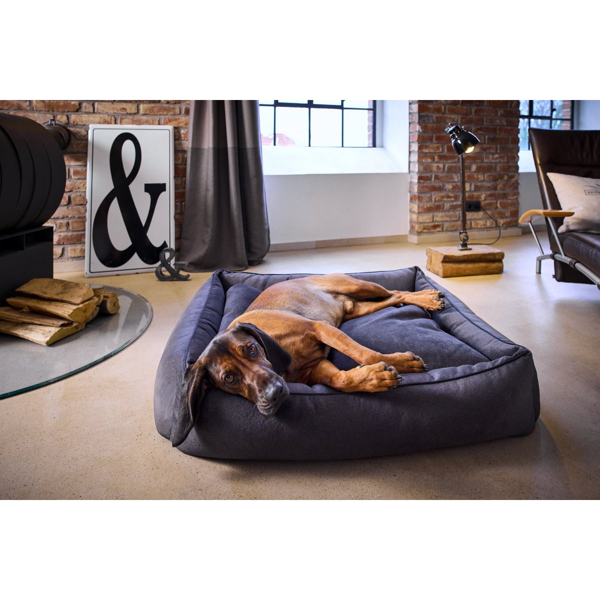 CLASSIC Hundebett - BUFFALO GRAPHITE - Tiny Paws Boutique