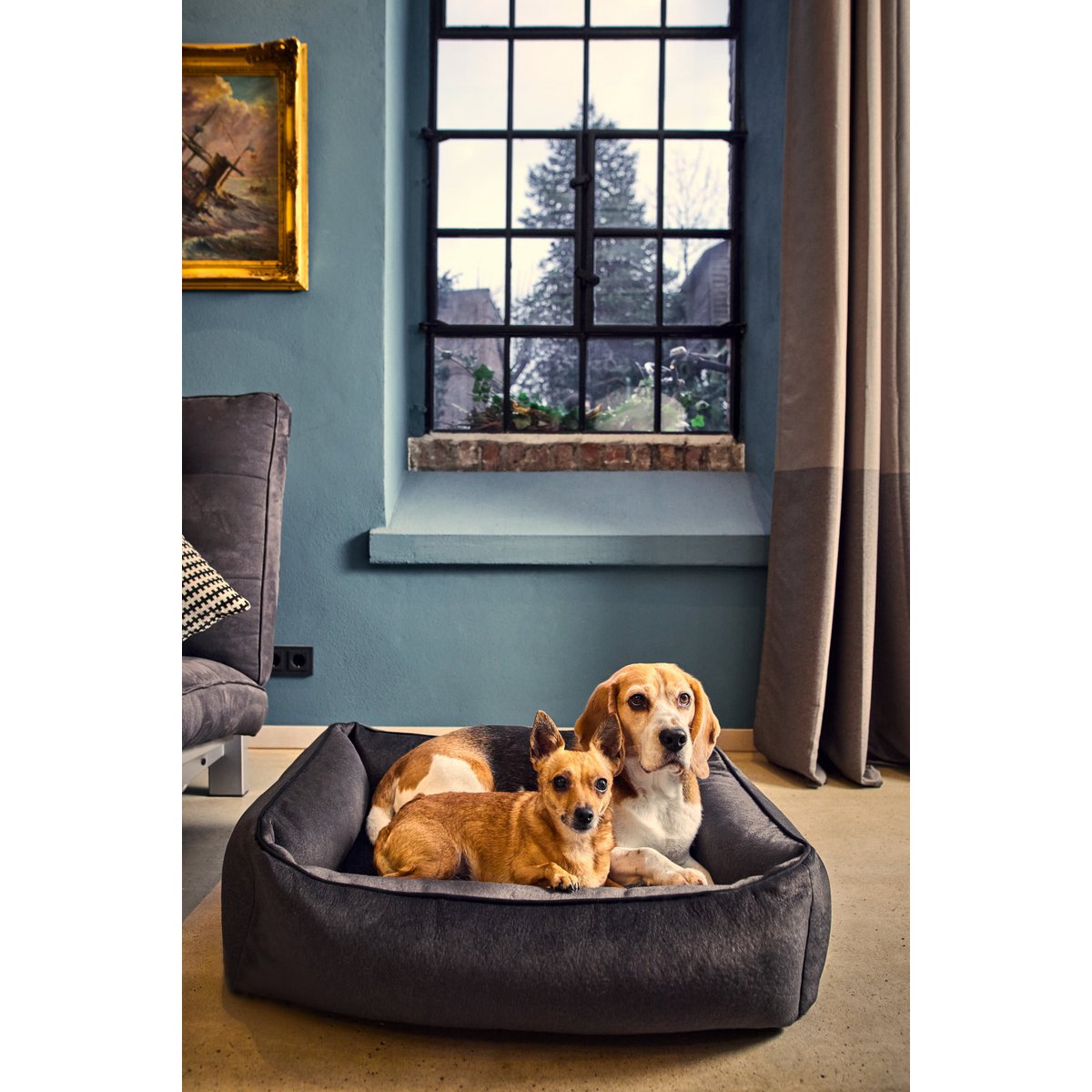 CLASSIC Hundebett - BUFFALO GRAPHITE - Tiny Paws Boutique