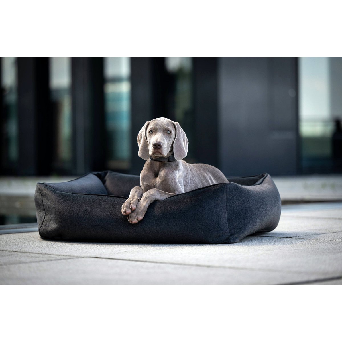 CLASSIC Hundebett - BUFFALO GRAPHITE - Tiny Paws Boutique